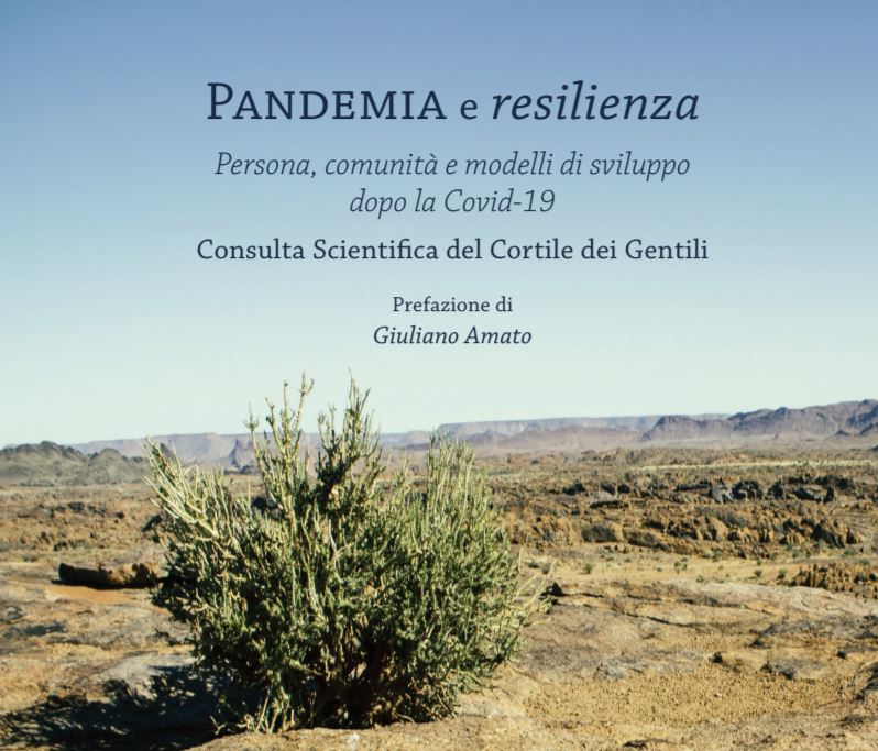 Persona, comunità e modello di sviluppo dopo la Covid-19: la resilienza trasformativa in risposta alla pandemia