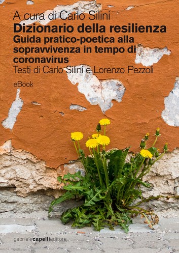 Dizionario della resilienza