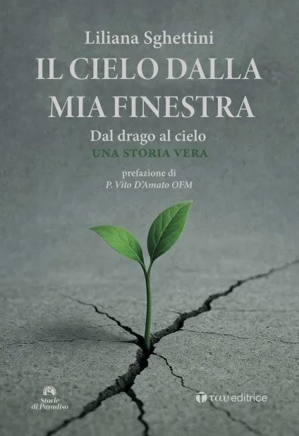 Il cielo dalla mia finestra